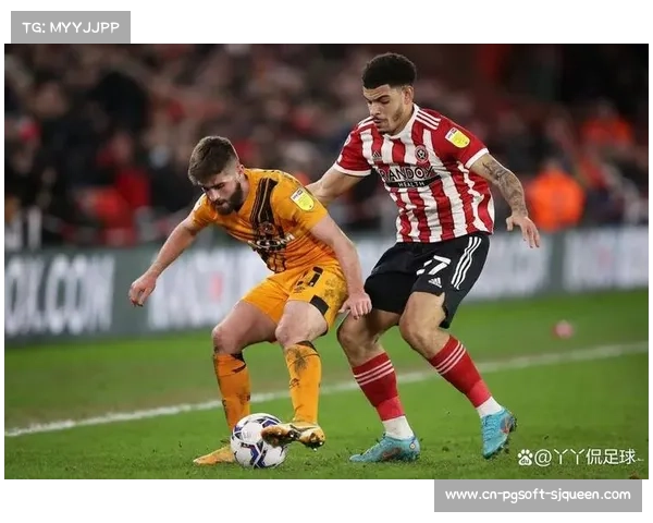 松鼠闯入球场致赫尔城与布里斯托尔城比赛暂停8分钟